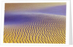 Purple Sand Dunes by Anonymous