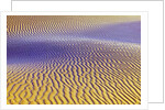 Purple Sand Dunes by Anonymous