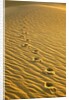Footprints in Sand Dunes by Anonymous