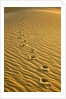 Footprints in Sand Dunes by Anonymous