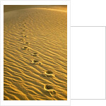 Footprints in Sand Dunes by Anonymous