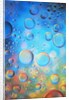 Water Drops by Anonymous
