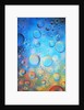 Water Drops by Anonymous