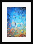 Water Drops by Anonymous