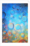 Water Drops by Anonymous
