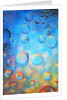 Water Drops by Anonymous