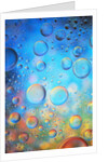 Water Drops by Anonymous