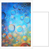Water Drops by Anonymous