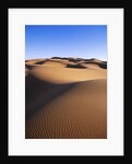 Sahara Desert by Anonymous