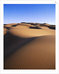 Sahara Desert by Anonymous