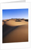 Sahara Desert by Anonymous