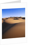 Sahara Desert by Anonymous