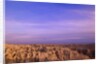 Canyons of Badlands National Park by Anonymous