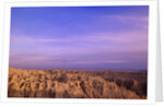 Canyons of Badlands National Park by Anonymous
