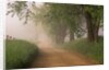 Fog Over Rural Road in Great Smoky Mountains by Anonymous