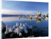 South Tufa on Mono Lake by Anonymous