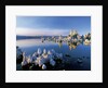 South Tufa on Mono Lake by Anonymous