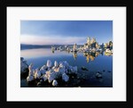 South Tufa on Mono Lake by Anonymous
