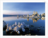 South Tufa on Mono Lake by Anonymous