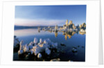 South Tufa on Mono Lake by Anonymous