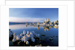 South Tufa on Mono Lake by Anonymous