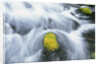 Mossy Rock in Stream by Anonymous