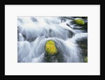 Mossy Rock in Stream by Anonymous
