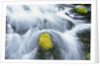 Mossy Rock in Stream by Anonymous