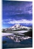 Mount Rainier Reflected in Pond by Anonymous