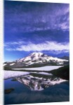 Mount Rainier Reflected in Pond by Anonymous