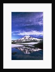 Mount Rainier Reflected in Pond by Anonymous