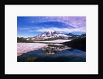 Mount Rainier Reflected in Pond by Anonymous