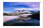 Mount Rainier Reflected in Pond by Anonymous