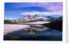 Mount Rainier Reflected in Pond by Anonymous