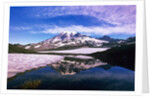 Mount Rainier Reflected in Pond by Anonymous