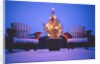 Small Christmas Tree Outdoors by Anonymous