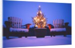 Small Christmas Tree Outdoors by Anonymous