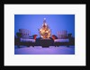 Small Christmas Tree Outdoors by Anonymous