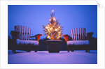 Small Christmas Tree Outdoors by Anonymous