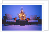 Small Christmas Tree Outdoors by Anonymous