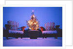 Small Christmas Tree Outdoors by Anonymous