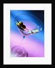 Martini with Olives by Anonymous