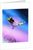 Martini with Olives by Anonymous