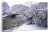 Snow at Bow Bridge in Central Park by Anonymous