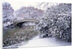 Snow at Bow Bridge in Central Park by Anonymous