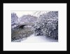 Snow at Bow Bridge in Central Park by Anonymous
