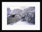 Snow at Bow Bridge in Central Park by Anonymous