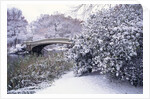 Snow at Bow Bridge in Central Park by Anonymous