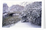 Snow at Bow Bridge in Central Park by Anonymous