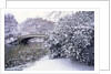 Snow at Bow Bridge in Central Park by Anonymous